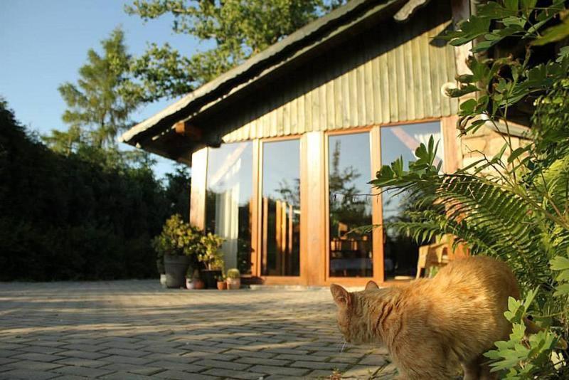 Pod Lipami Hotel Lwowek Slaski Exterior photo